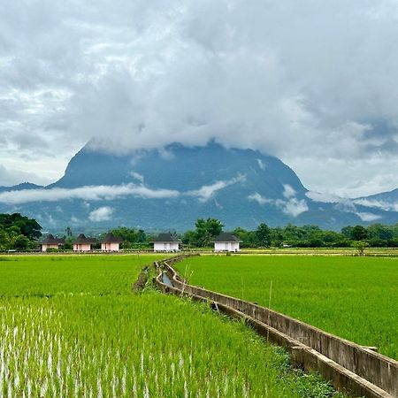 清佬Baan Porhdoi Goidao别墅 外观 照片