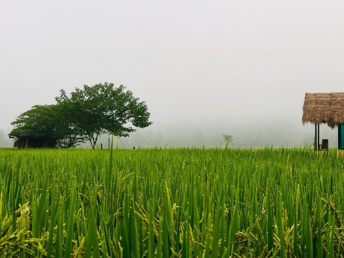 清佬Baan Porhdoi Goidao别墅 外观 照片